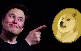 Những lần gây “sốc” của Elon Musk