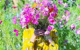 Người phụ nữ Việt ‘cõng giấc mơ hoa’ tự tay dựng nên ‘vườn địa đàng’ đẹp như cổ tích