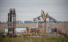 Ông Putin: Giá dầu thô có thể tăng vọt nếu dầu Nga bị áp giá trần