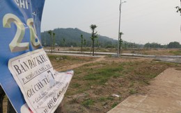 Quảng Ngãi: Cảnh báo nhà đầu tư ôm đất ven biển chờ quy hoạch