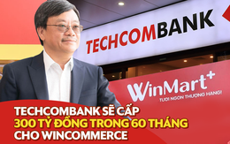 Techcombank sẽ cho Wincommerce vay tối đa 300 tỷ đồng trong 60 tháng để mở rộng chuỗi WinMart/WinMart+?