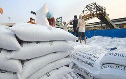 Giá gạo Việt Nam cao nhất thế giới, liên tục đột phá thị trường mới