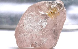 Phát hiện viên kim cương hồng cực hiếm, lớn nhất trong 300 năm