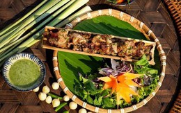 Đến Lai Châu phải ăn Lam nhọ - đỉnh cao nghệ thuật "ướp và nướng" cầu kì bậc nhất của người Việt