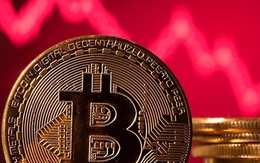 Nhà đầu tư dài hạn vẫn tin vào Bitcoin