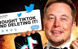 Elon Musk: 'TikTok đang đẩy nhanh quá trình thoái trào của một nền văn minh'