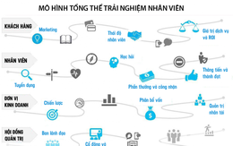 Trải nghiệm và năng suất