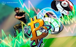 Thêm một sàn giao dịch cấm rút tiền, Bitcoin chật vật phá mốc 20.000 USD