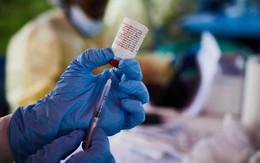 Congo công bố đợt bùng phát Ebola thứ 14, 100% ca bệnh tử vong