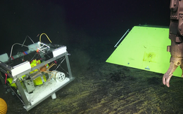 Câu chuyện về con cua và chiếc máy đo địa chấn dưới đáy đại dương