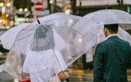 Chiếc ô trong suốt ở Nhật Bản: Trở thành vật quốc dân trong ngày mưa, là nét văn hóa không thể thiếu của đất nước mặt trời mọc