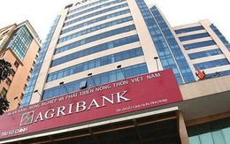 Agribank bán nhà ở phố cổ Hà Nội gần 700 triệu đồng/m2 và nợ thế chấp bằng 19 bất động sản