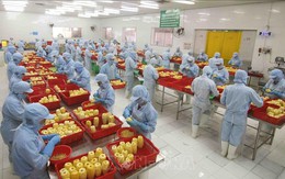 Kim ngạch thương mại Việt Nam - Lào khởi sắc trong 7 tháng đầu năm