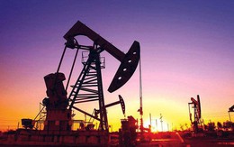 Giá dầu có tăng trở lại?