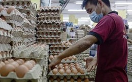 Trung Quốc: Gà đẻ ít hơn vì trời quá nóng, giá trứng tăng chóng mặt