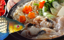 Cá sọc dưa - Loài cá sống tới 50 năm mang theo hương vị của Tây Nguyên