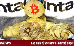 Giá Bitcoin hôm nay 22/8: Bitcoin bật tăng sau khi lao dốc mạnh