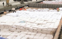 Hơn 38 ngàn tấn gạo bán sang Philippines: Doanh nghiệp sẽ khó thu tiền nếu quota nhà nhập khẩu hết hạn