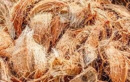 Xuất khẩu xơ dừa của Việt Nam tăng 272%