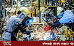 Việt Nam đứng thứ 5 châu Á về độ mở kinh tế