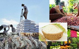 Lộ diện 7 mặt hàng nông, lâm, thuỷ sản xuất khẩu đạt trên 2 tỷ USD