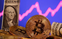 Bitcoin phục hồi đáng kể sau 10 tháng giảm sâu