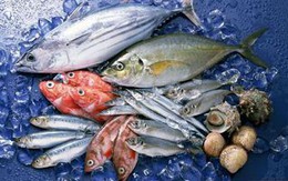 Ngành thủy sản tiếp tục tăng trưởng mạnh trong quý 3, nhóm xuất khẩu cá tra có thể đột biến