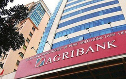 Agribank phát mại hàng chục bất động sản tại TP HCM, giá khởi điểm từ 10 đến 70 tỷ đồng