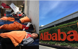Văn hóa nghỉ trưa của công ty công nghệ: Huawei ngủ nệm, Alibaba ngủ lều, Baidu xây luôn "thiên đường" cho nhân viên