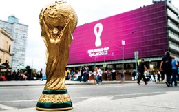 Giá bản quyền World Cup 2022 ở các nước trên thế giới là bao nhiêu?