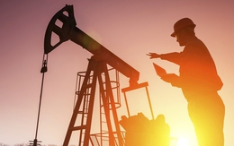 Giá dầu thô lao dốc gần 11% trong tuần, chạm đáy 6 tháng