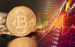 Giá Bitcoin hôm nay 10/9: Bitcoin tăng 'bốc đầu', vượt ngưỡng 20.000 USD