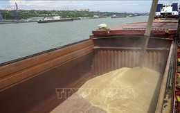 Nga để ngỏ khả năng tăng xuất khẩu ngũ cốc