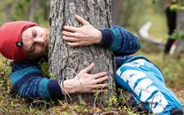 "Cuộc thi ôm cây" kỳ lạ ở Phần Lan - nơi con người được chữa lành bằng những cái ôm thiên nhiên vào lòng