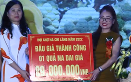 3 quả na ở Lạng Sơn được trả giá gần 160 triệu đồng