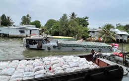 Ấn Độ phanh gấp, gạo Việt Nam sẽ lên giá?