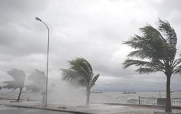 Biển Đông có thể đón 2-3 cơn bão vào cuối tháng 9, đầu tháng 10