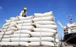 Ấn Độ bất ngờ tăng thuế xuất khẩu 20% khiến hơn 1 triệu tấn gạo 'mắc kẹt' tại cảng