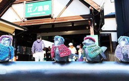 Người phụ nữ đan áo cho đàn chim sắt, biến chúng thành biểu tượng du lịch của Nhật Bản