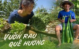 Xuất ngoại trồng rau củ thuần Việt