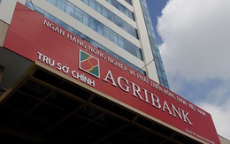 Agribank bán nợ trăm tỷ của chủ dự án khu du lịch nghỉ dưỡng khoáng nóng Cúc Phương