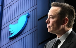 Hàng loạt nhân viên Twitter nghỉ việc vì Elon Musk