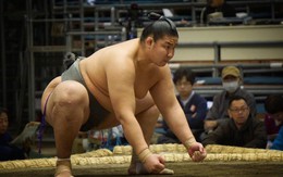 Kỷ luật thép tạo nên võ sĩ Sumo 270kg: Ăn gấp 4 lần người thường, ngủ phải dùng bình oxy