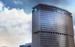 Lý do nào khiến MetLife lọt top các công ty đáng ngưỡng mộ nhất thế giới năm 2022?