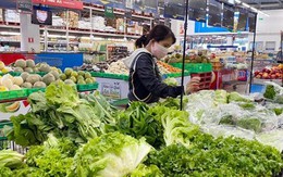 Rau bẩn 'đội lốt' VietGAP: Truy trách nhiệm giám đốc siêu thị