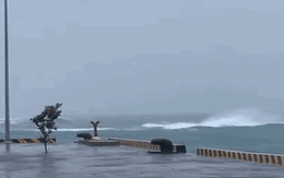 Bão số 4 (Noru): Đảo Lý Sơn gió giật cấp 11, cây cối gãy đổ