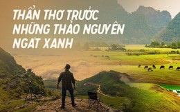 Những "miền thảo nguyên xanh" ở Việt Nam khiến du khách lưu luyến từ cái nhìn đầu tiên