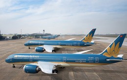 Hình ảnh Bông Sen Vàng của Vietnam Airlines xuất hiện khi nào?