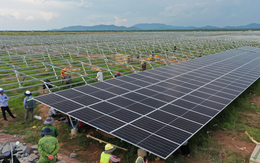 Các công ty điện mặt trời của Tập đoàn Xuân Thiện kinh doanh ra sao trong năm đầu tiên vận hành?
