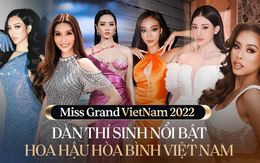 Sắc vóc và học vấn dàn thí sinh Hoa hậu Hòa bình Việt Nam: Người làm CEO tuổi 27, người thành tích đáng nể